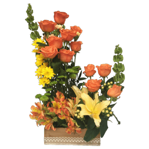 Jardinera de Rosas - Enviar flores.