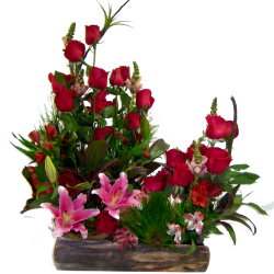 jardinera de rosas-enviar flores venezuela