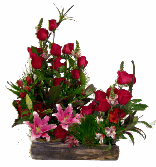 jardinera de rosas-enviar flores venezuela