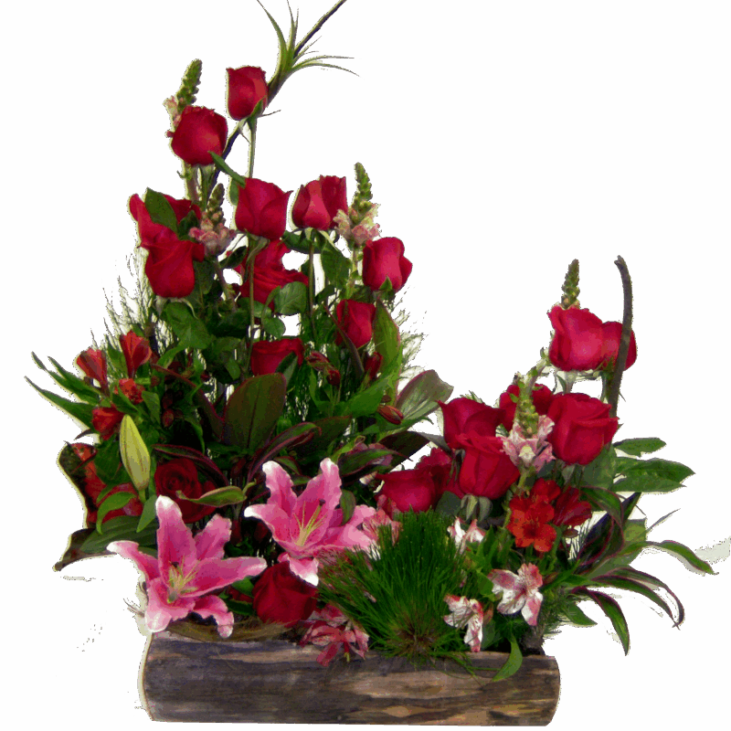 jardinera de rosas-enviar flores venezuela