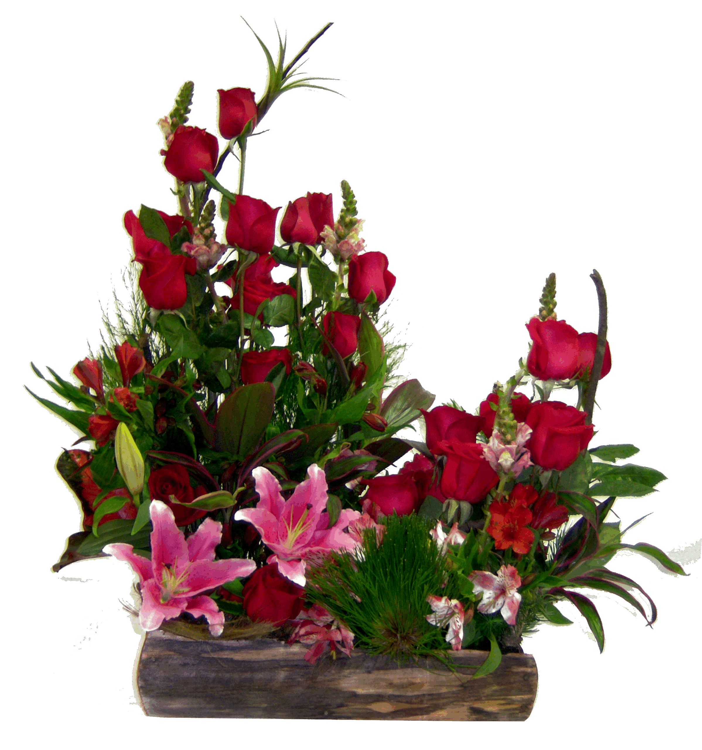 jardinera de rosas-enviar flores venezuela