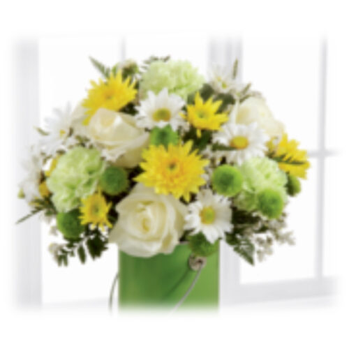 Terroncito Básico 2 Arreglo Floral Terroncito - Arreglo de Rosas Multifloral