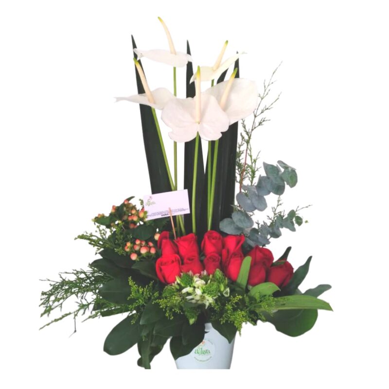 Aventura de Amor - Arreglo de Rosa y Anthurium