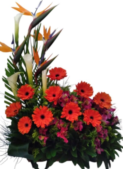 Jardinera Primaveral - Arreglo de Gerberas
