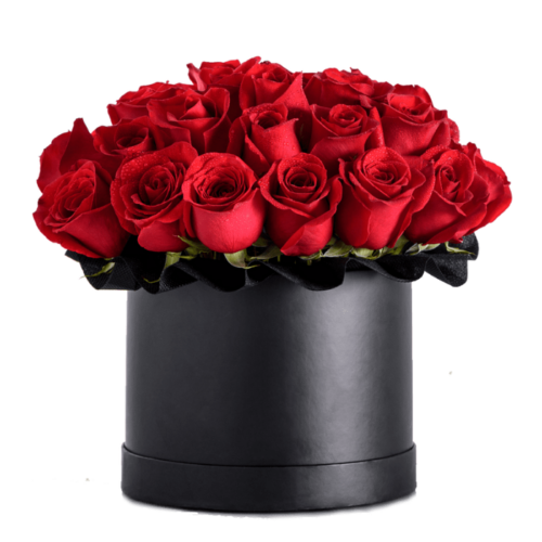 Box Sensazione - Arreglo de Rosas