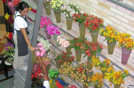 Aflora-floristeria-online-venezuela-ecuador-02