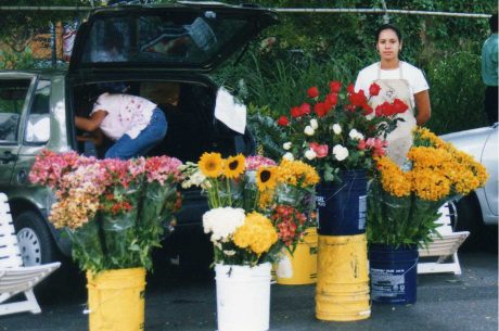 Aflora-floristeria-online-venezuela-ecuador